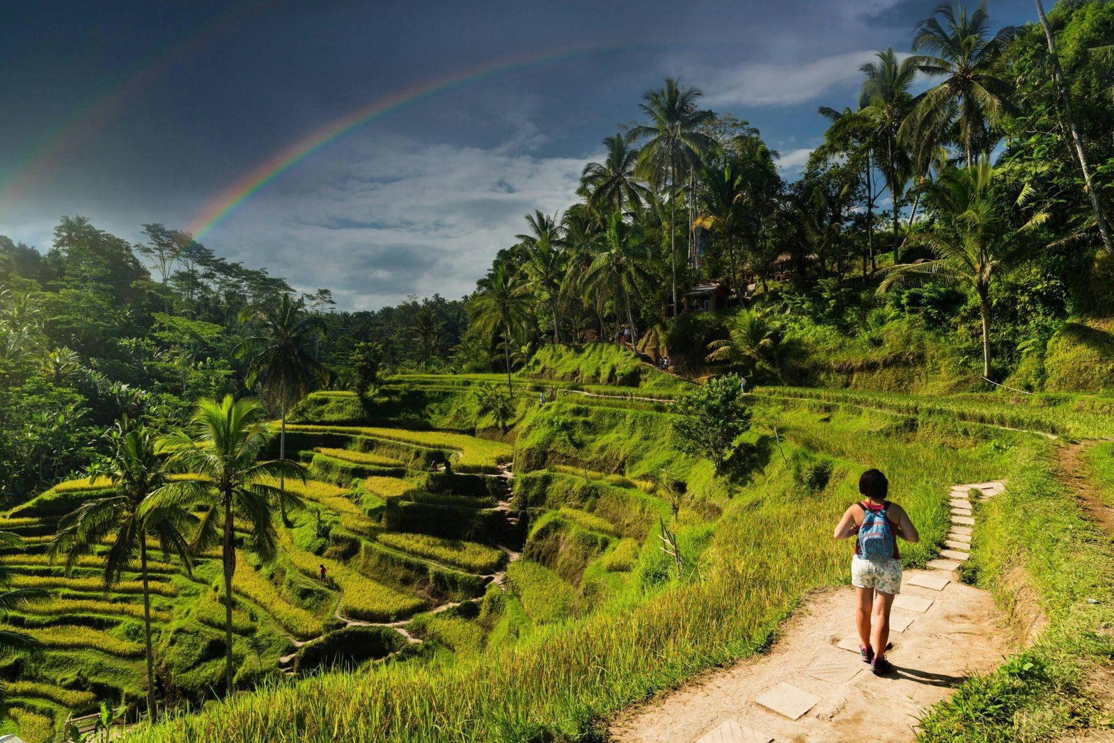 Romantic rice terrace walk as part of Bali tour packages for couples and families